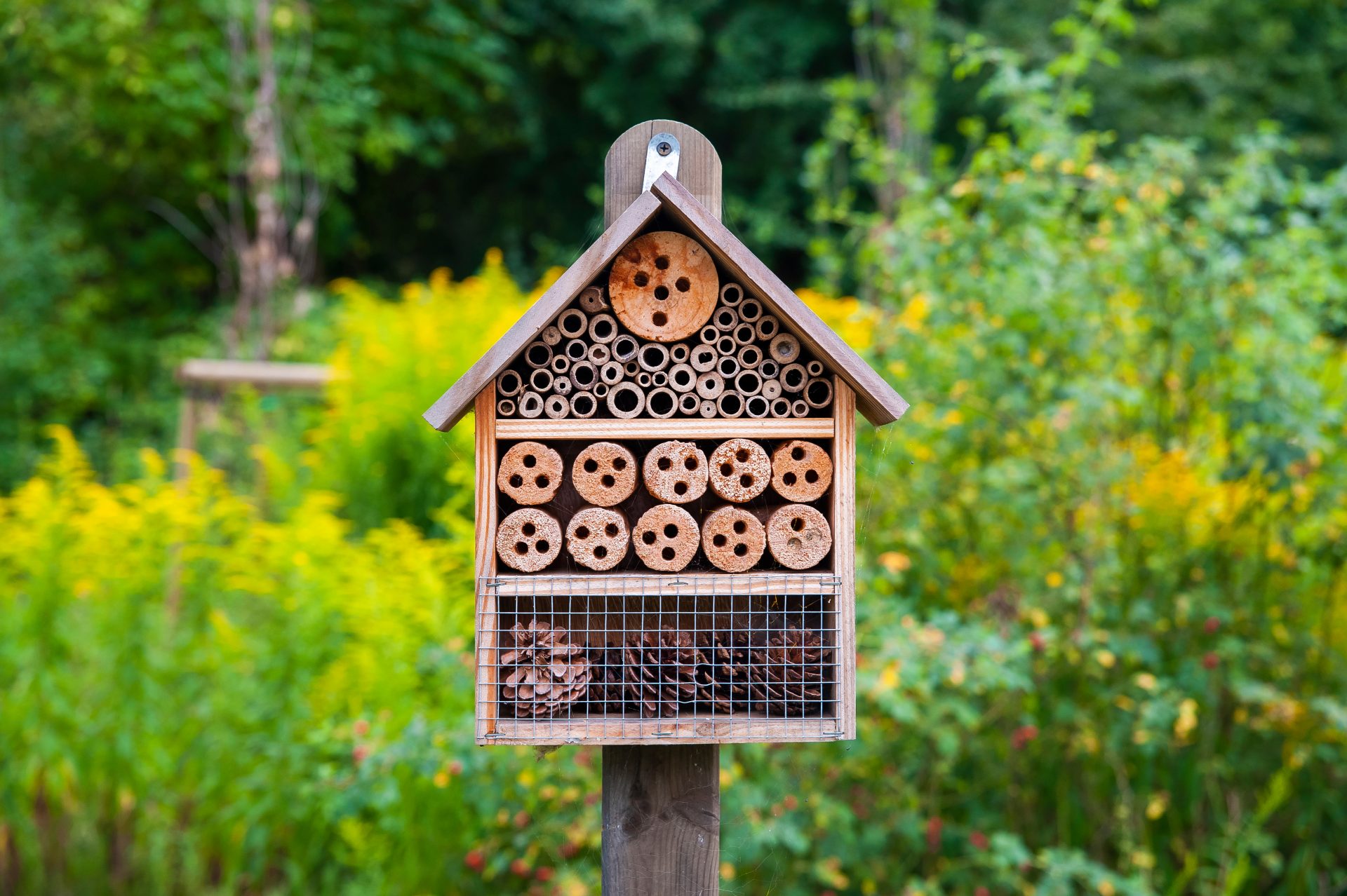 Hotel à insectes