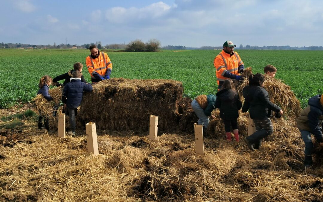 PLANTATION DE HAIE CHAMPÊTRE