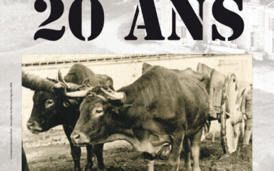 Patrimoine Bignolais: 20 ans!