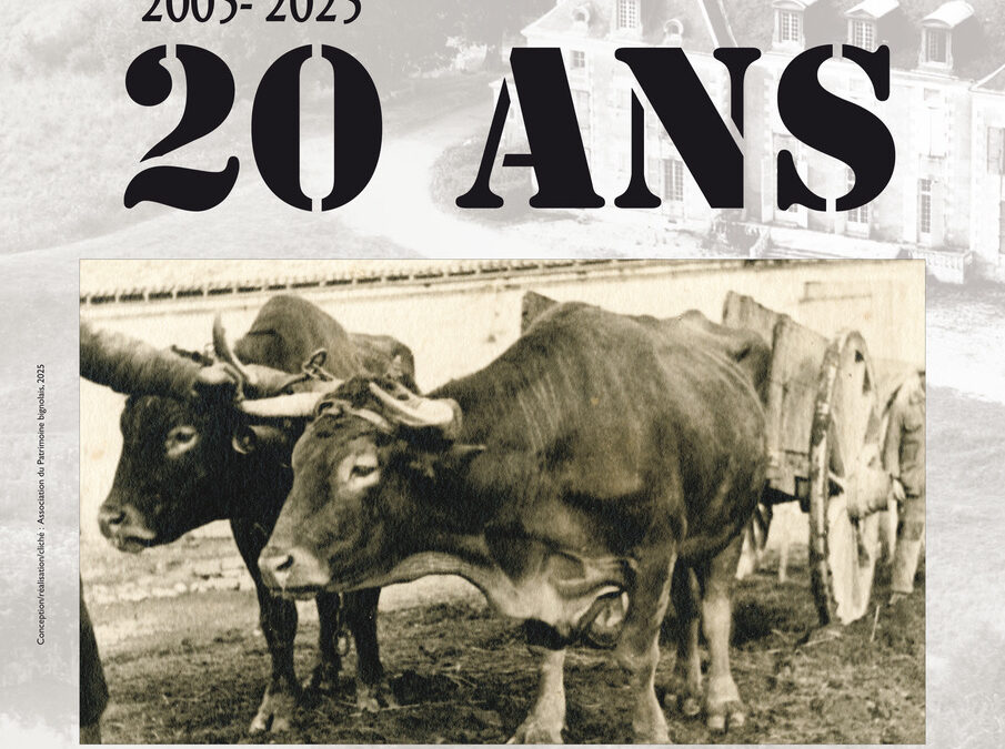 Patrimoine Bignolais: 20 ans!